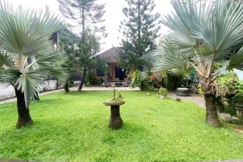 Land in Munggu, Mengwi, Badung, Indonesia No. 13292 8