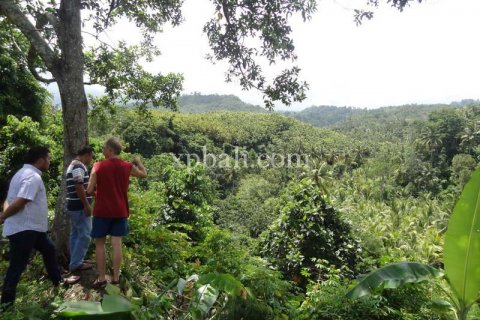 13250m2 Land in Negara, Jembrana, Indonesia No. 375
