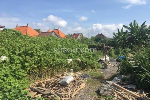 2530m2 Land in Gianyar, Indonesia No. 374 6