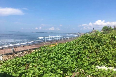 2530m2 Land in Gianyar, Indonesia No. 374 5