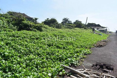 2530m2 Land in Gianyar, Indonesia No. 374 4