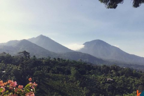 Land in Buleleng, Indonesia No. 11310