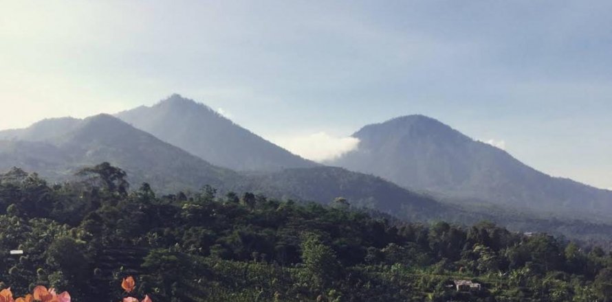 Land in Buleleng, Indonesia No. 11310