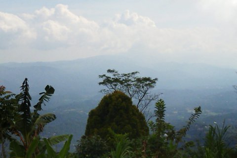 Land in Buleleng, Indonesia No. 11310 3
