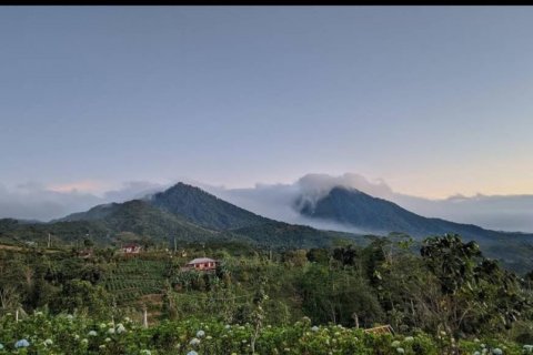 Land in Buleleng, Indonesia No. 11310 2
