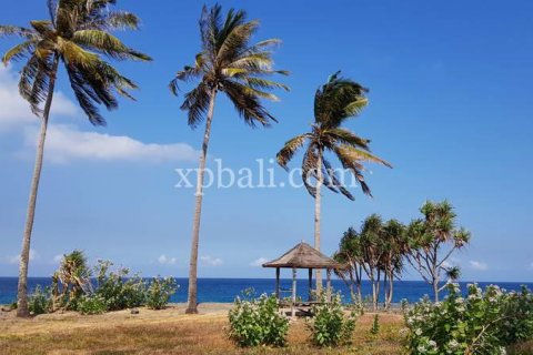 2400m2 Land in Indonesia No. 7743 7