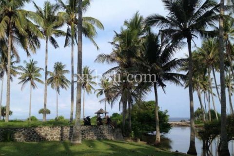 2400m2 Land in Indonesia No. 7743 8