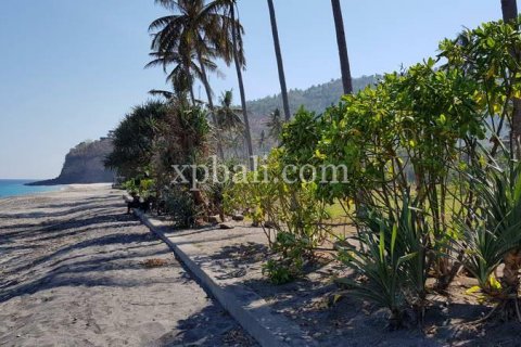 2400m2 Land in Indonesia No. 7743 2