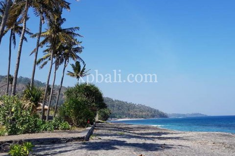 2400m2 Land in Indonesia No. 7743 3