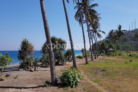 2400m2 Land in Indonesia No. 7743 4