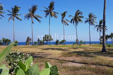 2400m2 Land in Indonesia No. 7743 5