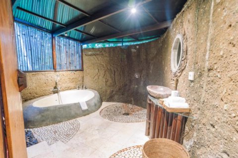 1 bedroom Villa in Ubud, Gianyar, Indonesia No. 8741 4