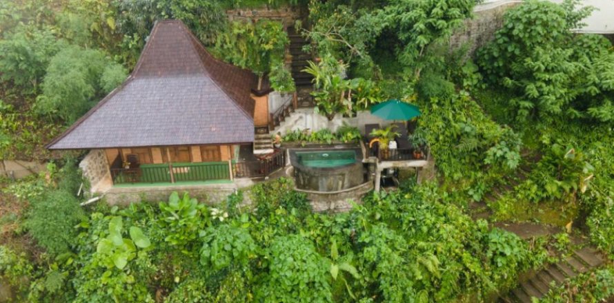 1 bedroom Villa in Ubud, Gianyar, Indonesia No. 8743
