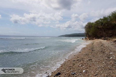 1700m2 Land in Nusa Penida, Klungkung, Indonesia No. 8868 10