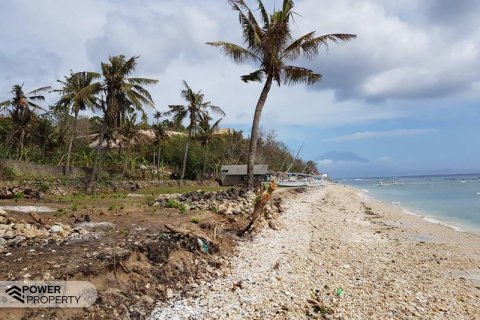 1700m2 Land in Nusa Penida, Klungkung, Indonesia No. 8868 13