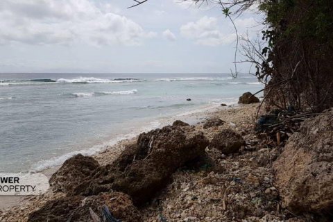 1700m2 Land in Nusa Penida, Klungkung, Indonesia No. 8868 4