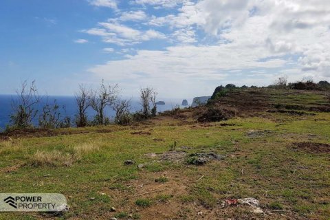 650m2 Land in Nusa Penida, Klungkung, Indonesia No. 8867