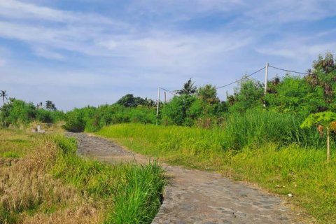 3 bedrooms Villa in Gianyar, Indonesia No. 8824 30