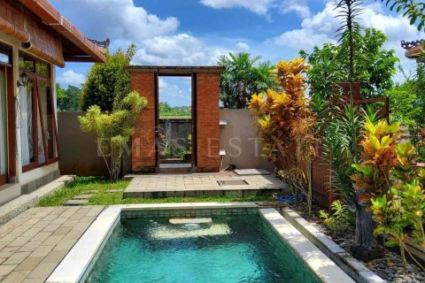 1 bedroom Villa in Gianyar, Indonesia No. 1867
