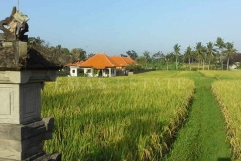 1 bedroom Villa in Gianyar, Indonesia No. 1867 3