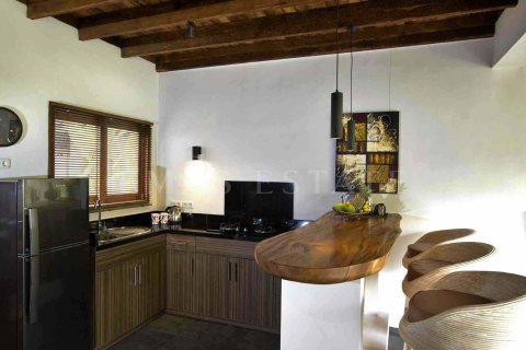 2 bedrooms Villa in Ubud, Gianyar, Indonesia No. 1866 11