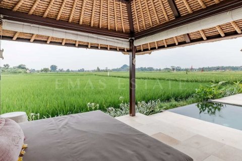 1 bedroom Villa in Gianyar, Indonesia No. 1872 12