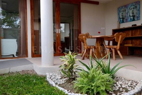 6 bedrooms Villa in Kuta, Badung, Indonesia No. 1869 11