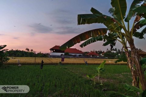3 bedrooms Villa in Lovina, Anturan, Buleleng, Indonesia No. 8951
