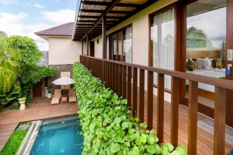 5 bedrooms Villa in Canggu, Badung, Indonesia No. 10527 3