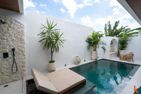 2 bedrooms Villa in Badung, Indonesia No. 11126 2