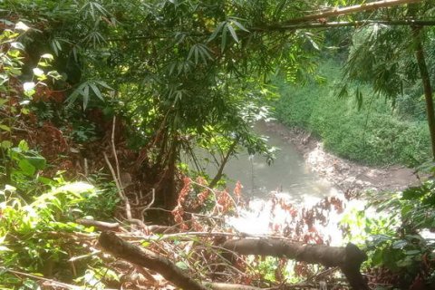 4000m2 Land in Tabanan, Indonesia No. 266 4