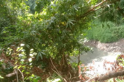 4000m2 Land in Tabanan, Indonesia No. 266 3