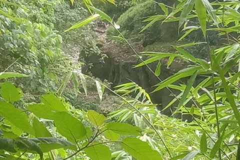 4000m2 Land in Tabanan, Indonesia No. 266 6