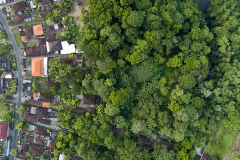 Земельный участок 4000м2 в Tabanan, Табанан, Индонезия № 266