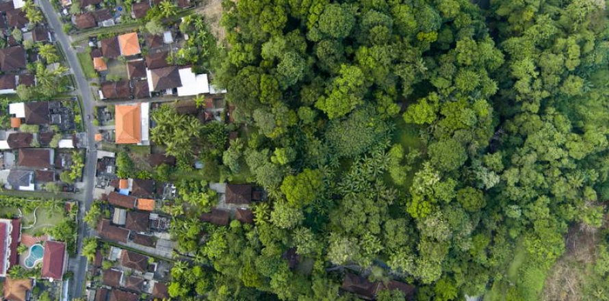 4000m2 Land in Tabanan, Indonesia No. 266