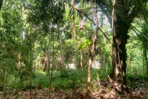 4000m2 Land in Tabanan, Indonesia No. 266 8