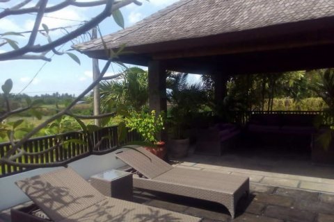 3 bedrooms Villa in Tabanan, Indonesia No. 265 10