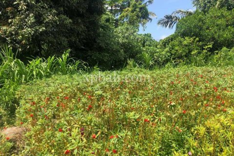 Земельный участок 800м2 в Gianyar, Гианьяр, Индонезия № 287 4