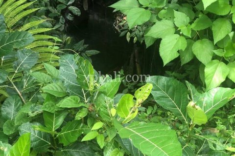 Земельный участок 800м2 в Gianyar, Гианьяр, Индонезия № 287 12