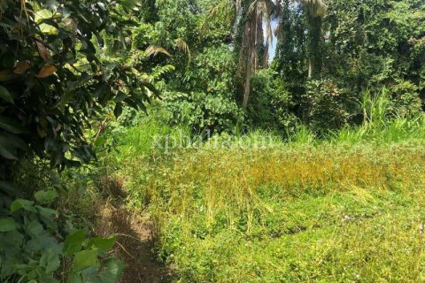 Земельный участок 800м2 в Gianyar, Гианьяр, Индонезия № 287 13