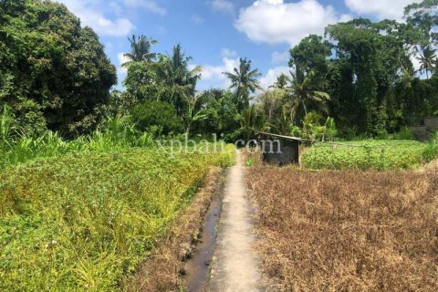 Земельный участок 800м2 в Gianyar, Гианьяр, Индонезия № 287 3