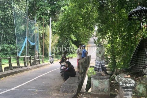 Земельный участок 800м2 в Gianyar, Гианьяр, Индонезия № 287 11