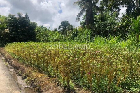 Земельный участок 800м2 в Gianyar, Гианьяр, Индонезия № 287 10