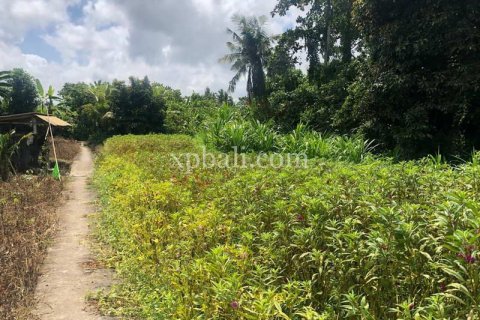 Земельный участок 800м2 в Gianyar, Гианьяр, Индонезия № 287 5