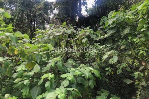 Земельный участок 800м2 в Gianyar, Гианьяр, Индонезия № 287 8