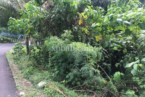 Земельный участок 800м2 в Gianyar, Гианьяр, Индонезия № 287 6