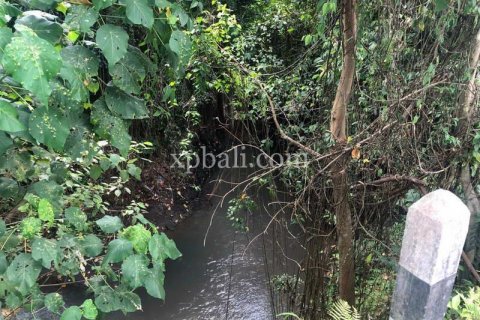 Земельный участок 800м2 в Gianyar, Гианьяр, Индонезия № 287 9
