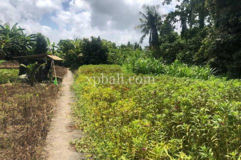 Земельный участок 800м2 в Gianyar, Гианьяр, Индонезия № 287 2