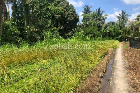 Земельный участок 800м2 в Gianyar, Гианьяр, Индонезия № 287 7