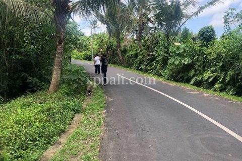 Земельный участок 800м2 в Gianyar, Гианьяр, Индонезия № 287 1